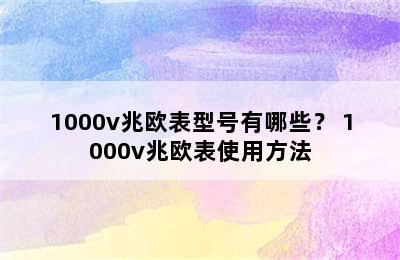 1000v兆欧表型号有哪些？ 1000v兆欧表使用方法